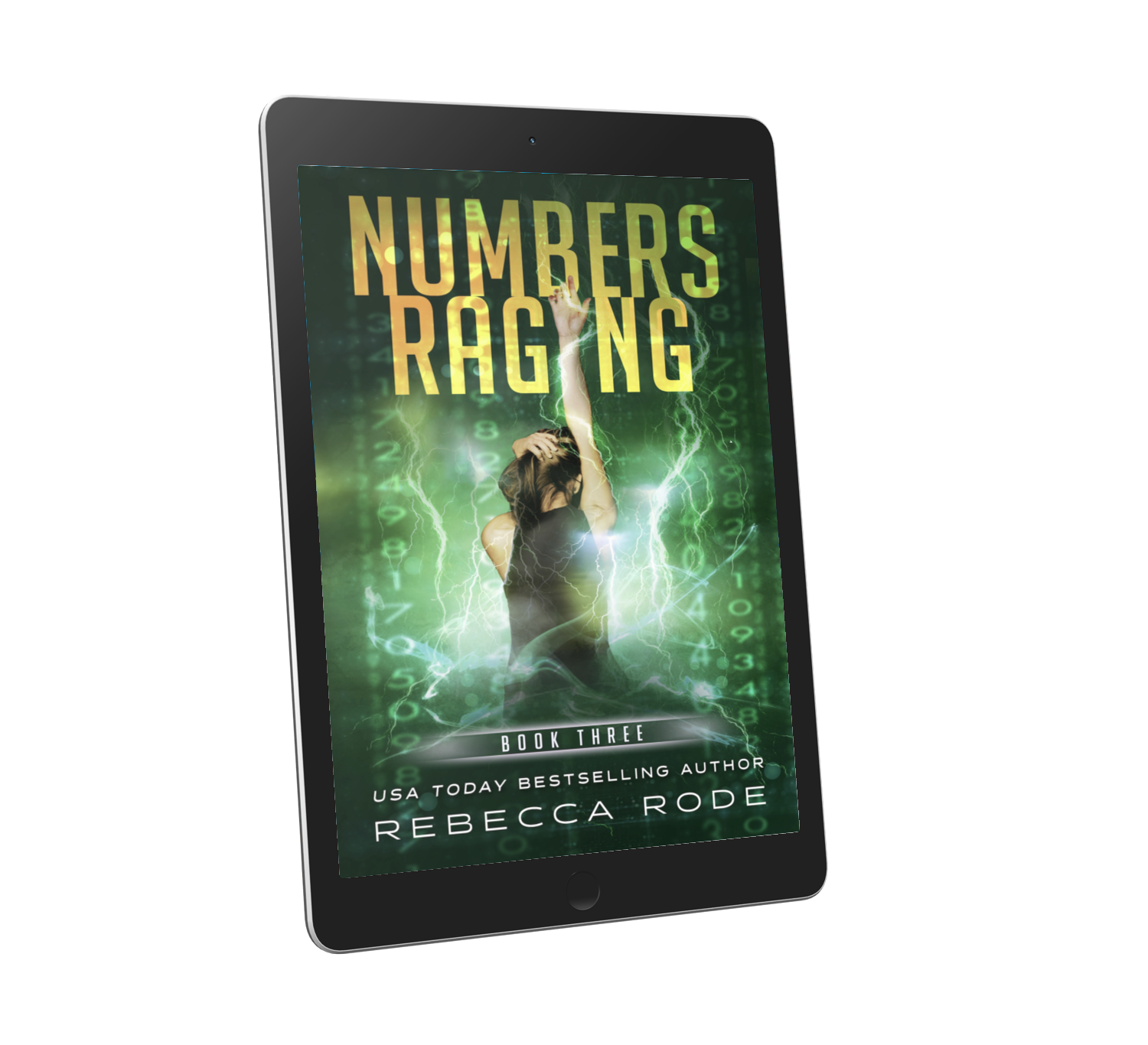 Numbers Raging (3) Booklove by Rebecca Rode